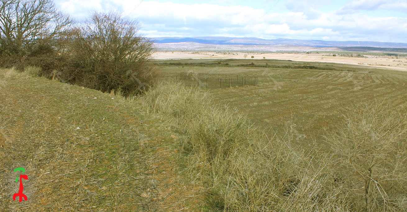 Vista del terraplen, hoy muy afectado por las actividades agrícolas