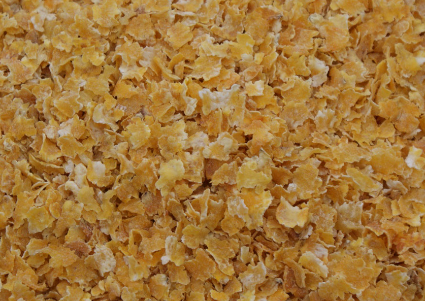 Grains floconnés