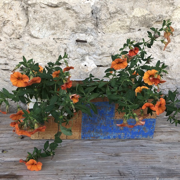 Pflanzkasten Santorin