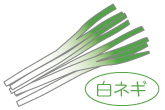 【めぐみの里】白ネギ