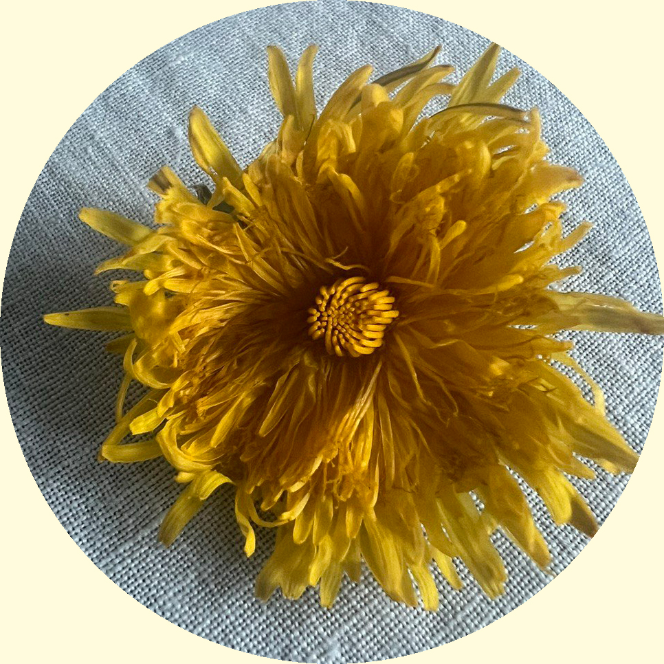 In meinem Blog öffne ich einen Raum für Seelenbotschaften