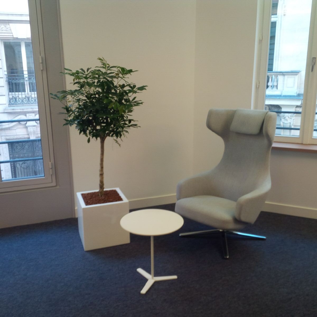 Paysagiste d'intérieur: location de végétaux pour les bureaux d'une entreprise Parisienne