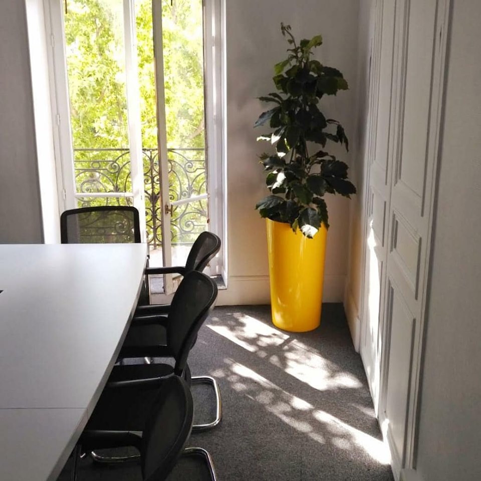 Location et entretien de plantes pour ces bureaux de Neuilly