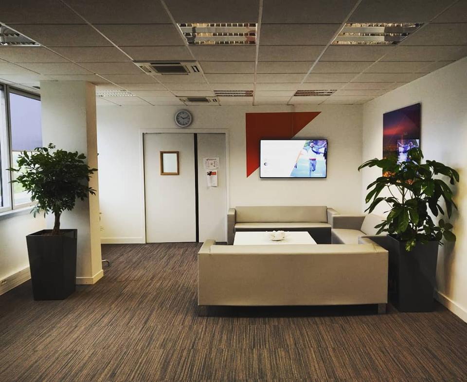 Paysagiste d'intérieur à Paris: location de plantes vertes pour décorer cet accueil d'entreprise