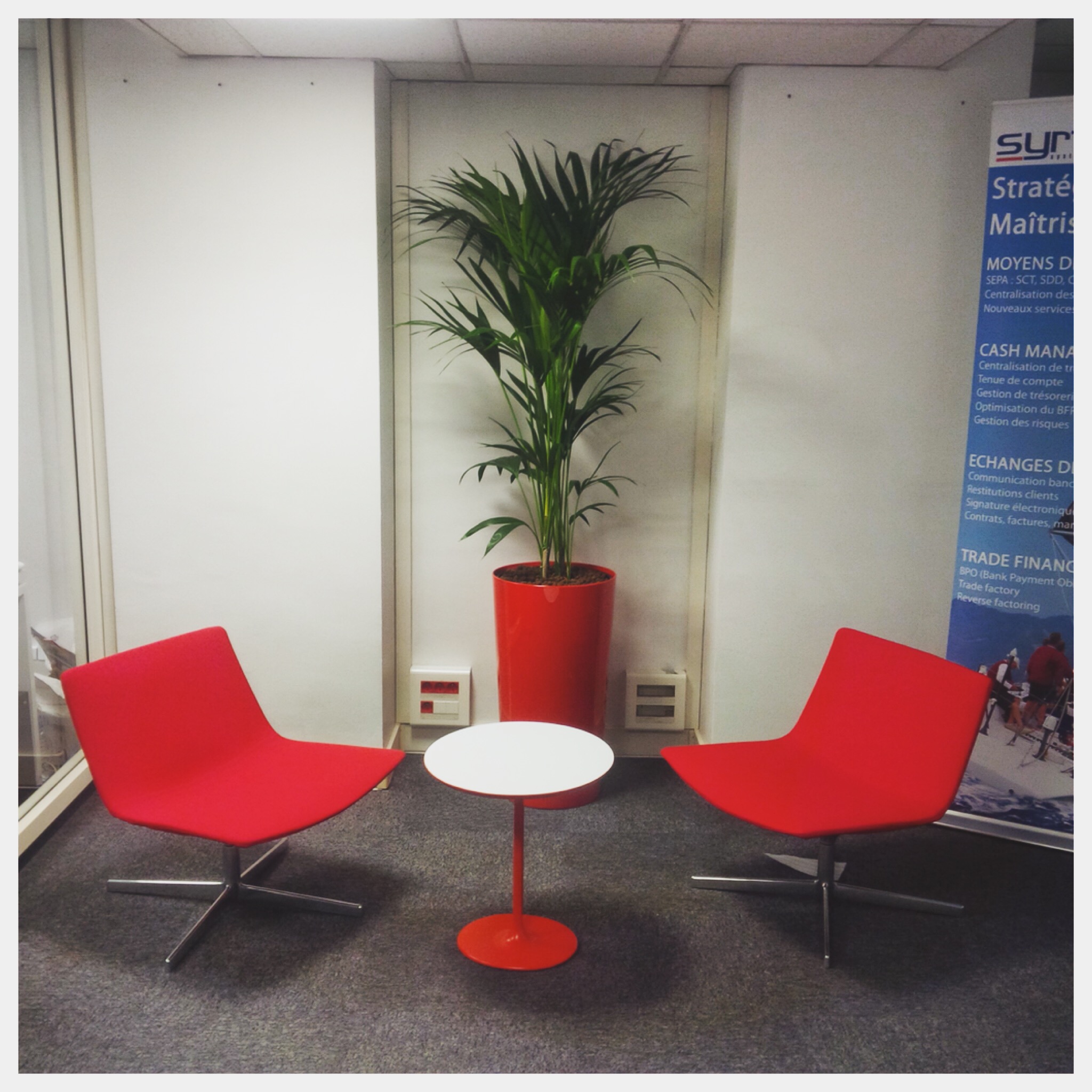 Paysagiste d'intérieur: location de plantes pour les bureaux d'une entreprise à Paris XVème 