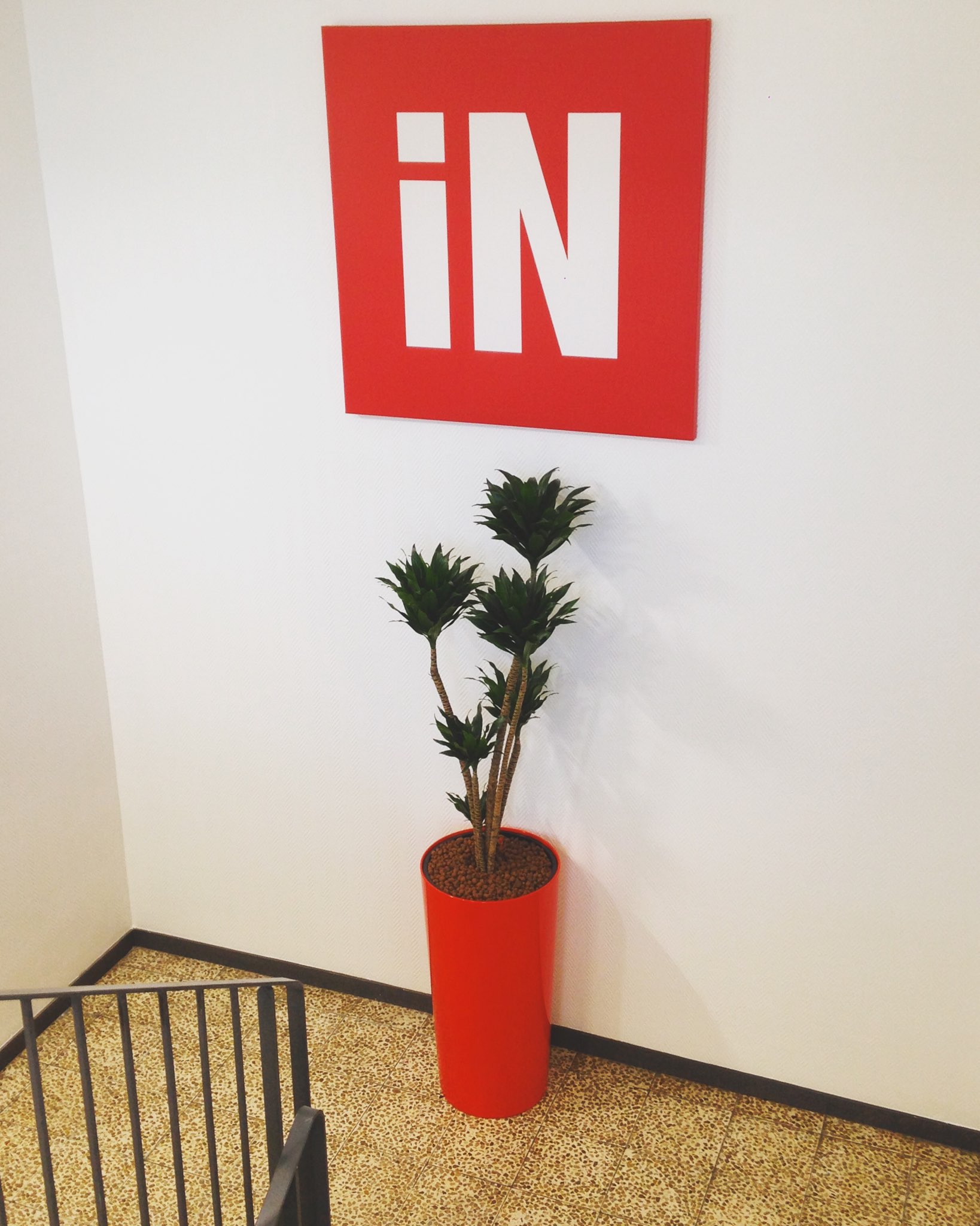 Paysagiste d'intérieur: location de plantes pour ces bureaux de la région parisienne