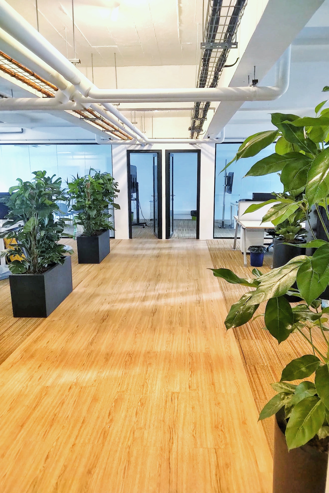 Contrat d'entretien des plantes pour ces bureaux