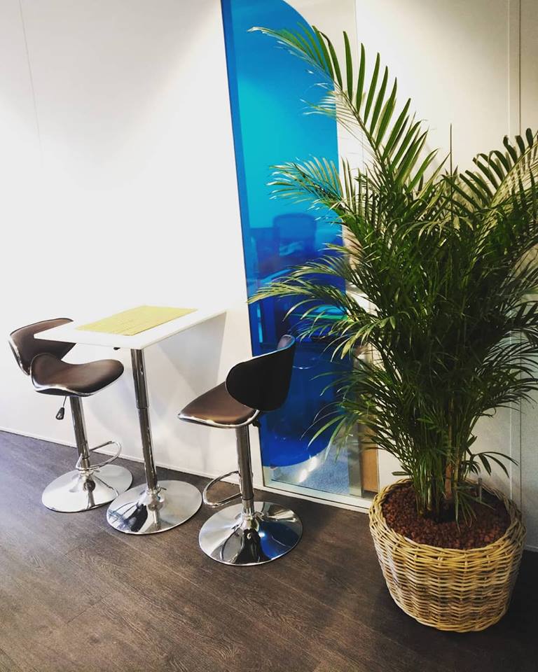 décoration végétale de ces bureaux de la Défense