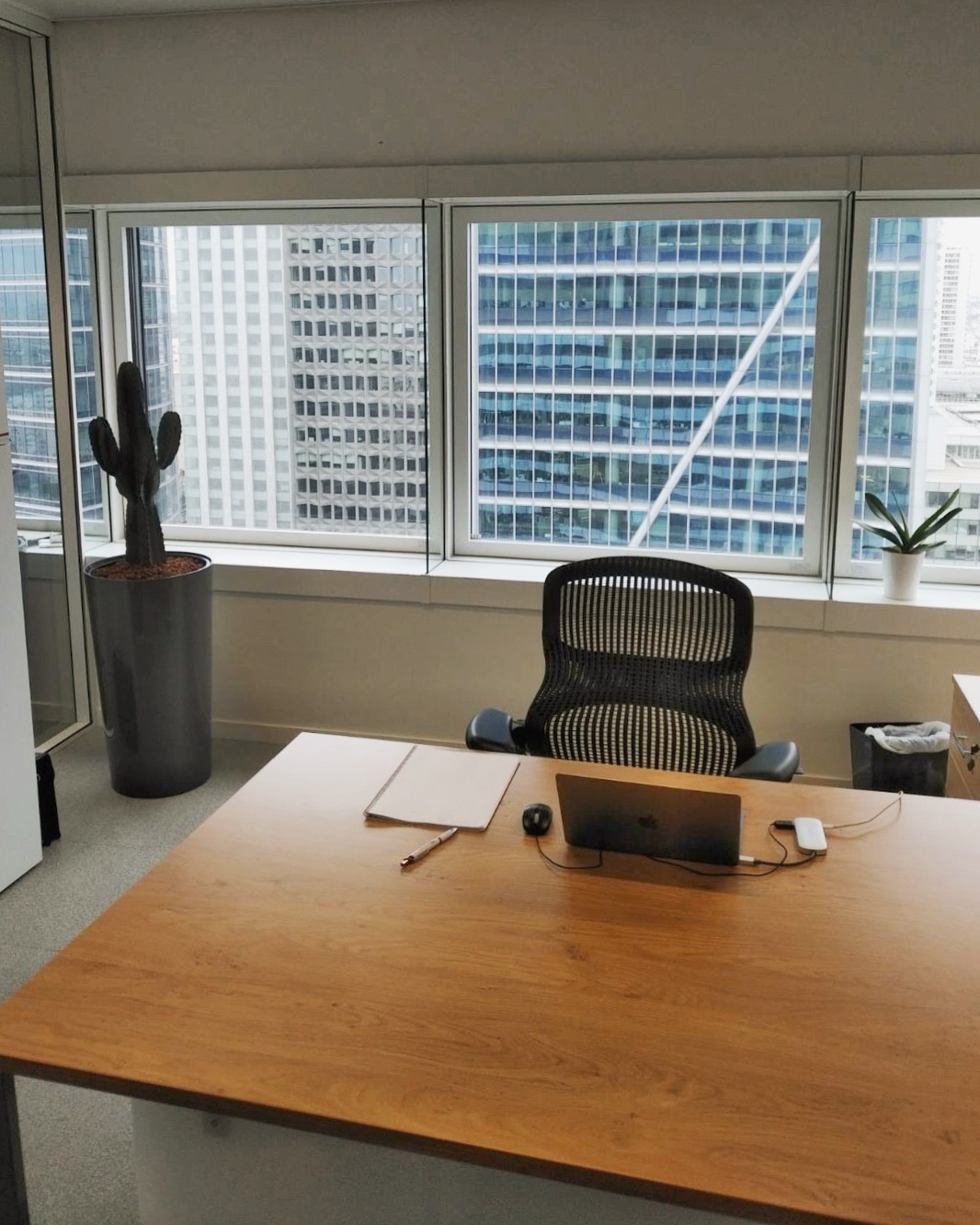 Paysagiste d'intérieur: location de plantes pour ces bureaux de Paris/La Defense