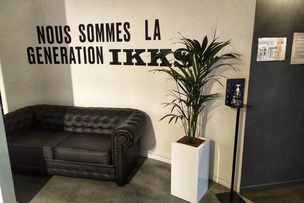 location et entretien de plantes pour ce siège social 