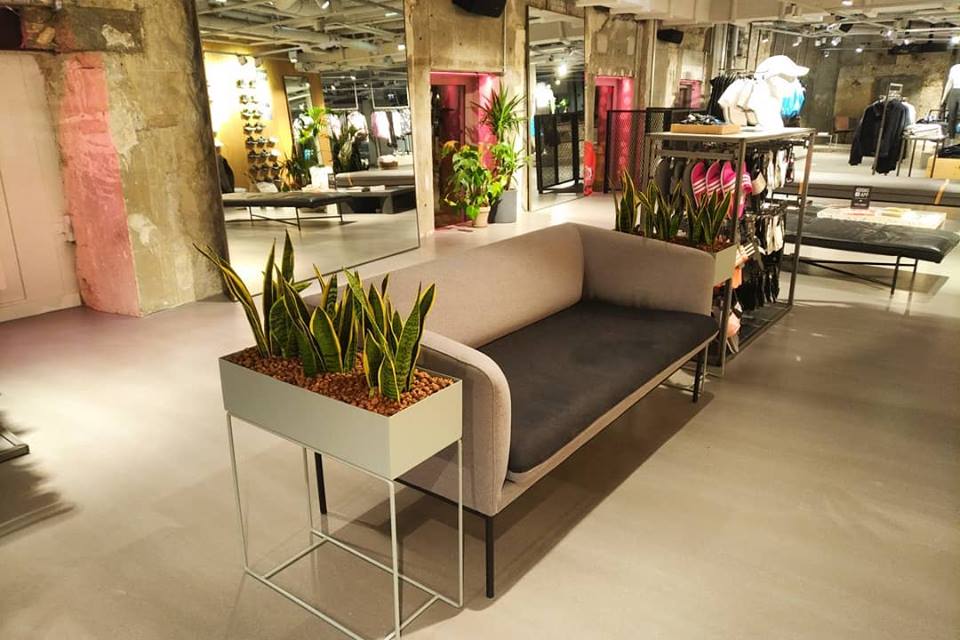 Décoration végétale de ce magasin - Location de plantes à Paris