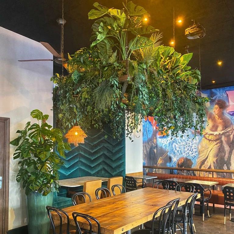 Entretien des plantes de ce restaurant situé Place de La République