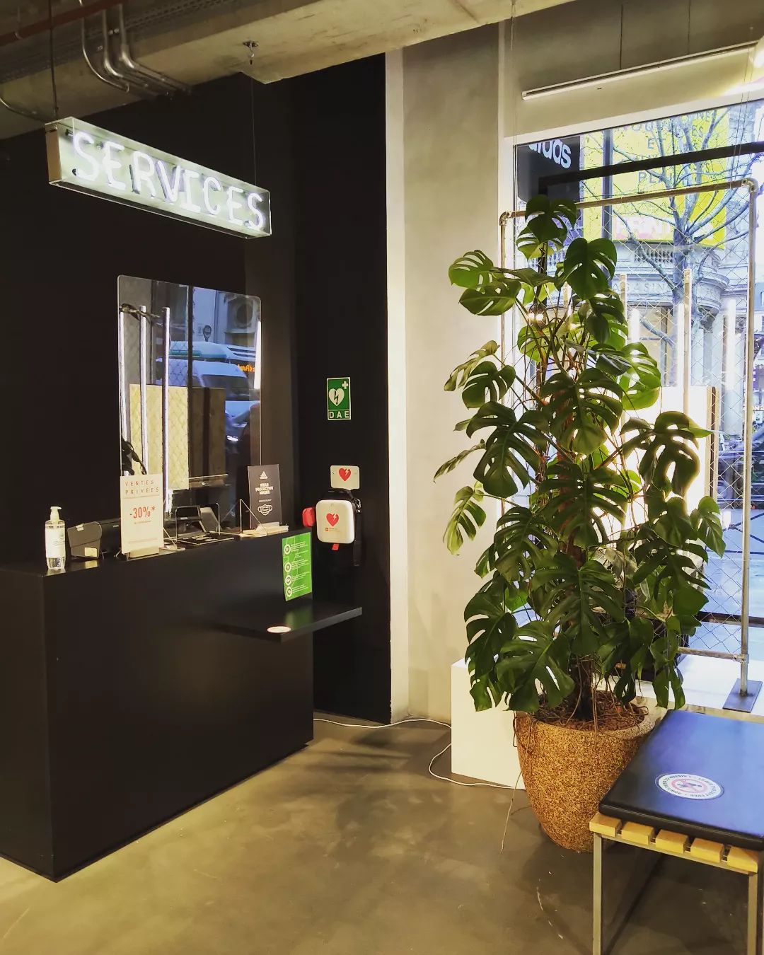 Location et entretien de plantes de ce magasin du Boulevard Haussmann