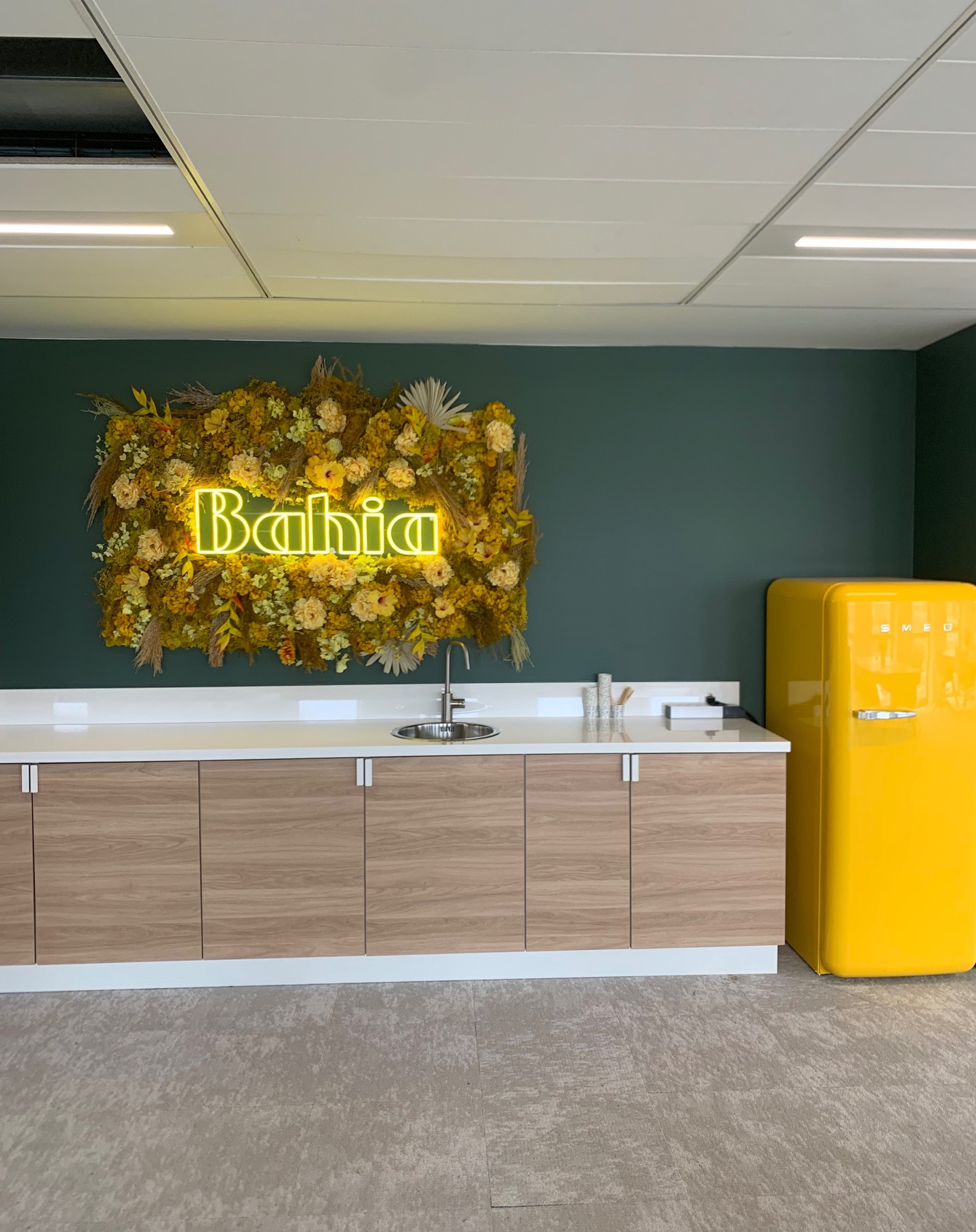 Mur végétal stabilisé