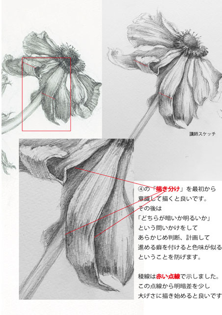 花のデッサン 新百合ケ丘 百合ケ丘駅より 絵画教室 アトリエ カンノ 子供から大人まで自分から学べる丁度良いアトリエ デッサン 油絵 水彩 工作 子供 大人 麻生区 多摩区