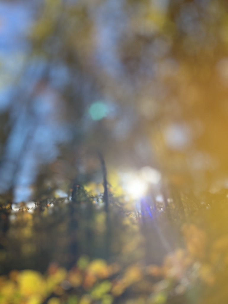 Goldene Infusion