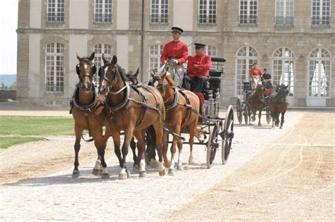 et une collection très intéressante d’hippomobile de toutes sortes.