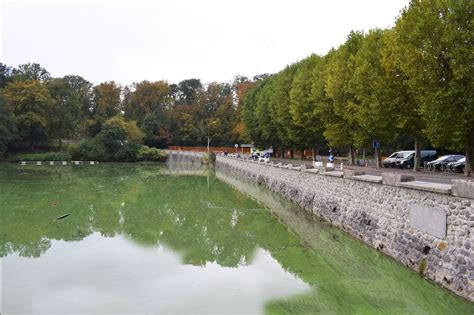 L'étang des Moines