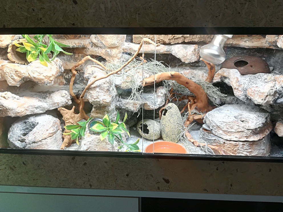 Wie Viel Kostet Ein Terrarium Für Schildkröten Terrarium Innenausbau - kk-geckos Webseite!