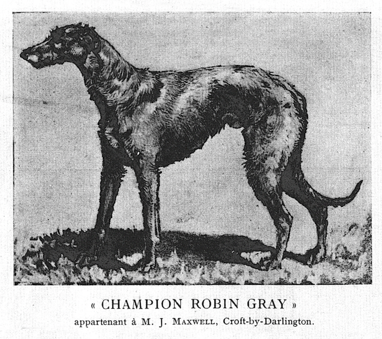 Robin Gray appartenant à M. J. Maxwell, Croft by Darlington.