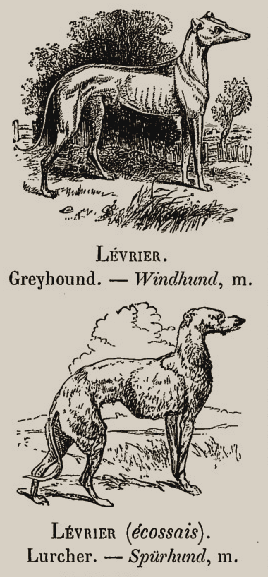 1873, Le Vocabulaire illustré des mots