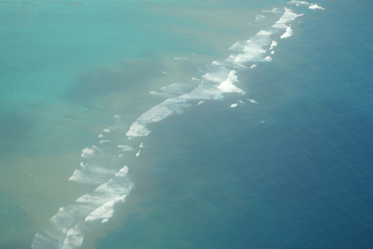 空を仰ぎ海を望む