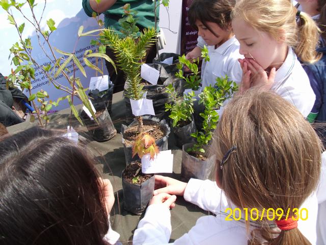 Taller Exposición de Biodiversidad local de Flora Nativa, se le enseña a los estudiantes a reconocer los arboles nativos de su región, reconociendo y protegiendo su biodiversidad