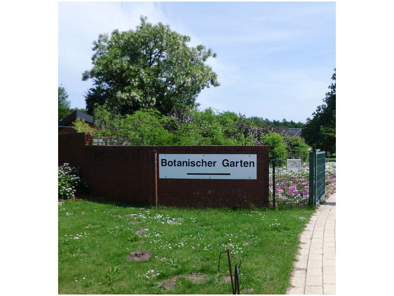 Der Botanische Garten.