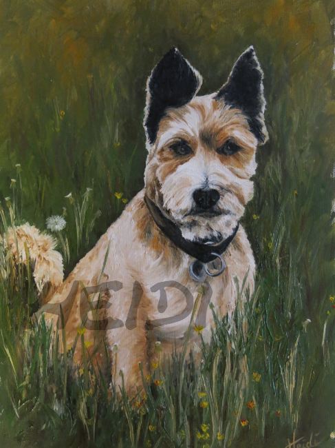 Debby    30x40        Auftragsarbeit
