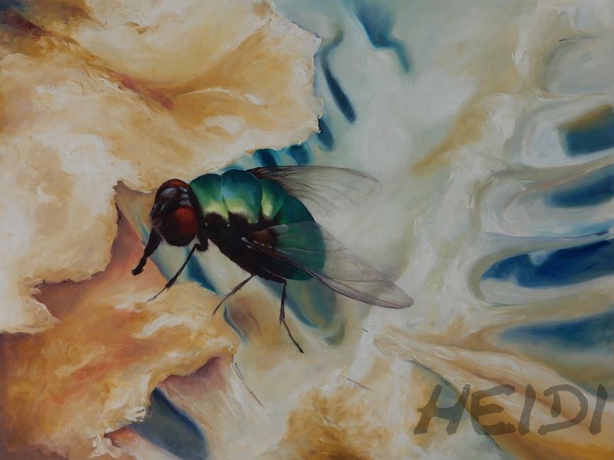 Fliege I  60x80   420,-