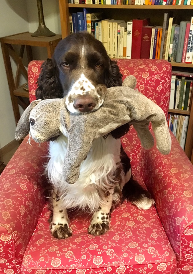 Guinness und sein Monsieur Lapin, Foto: Andréa Engel-von Carlowitz