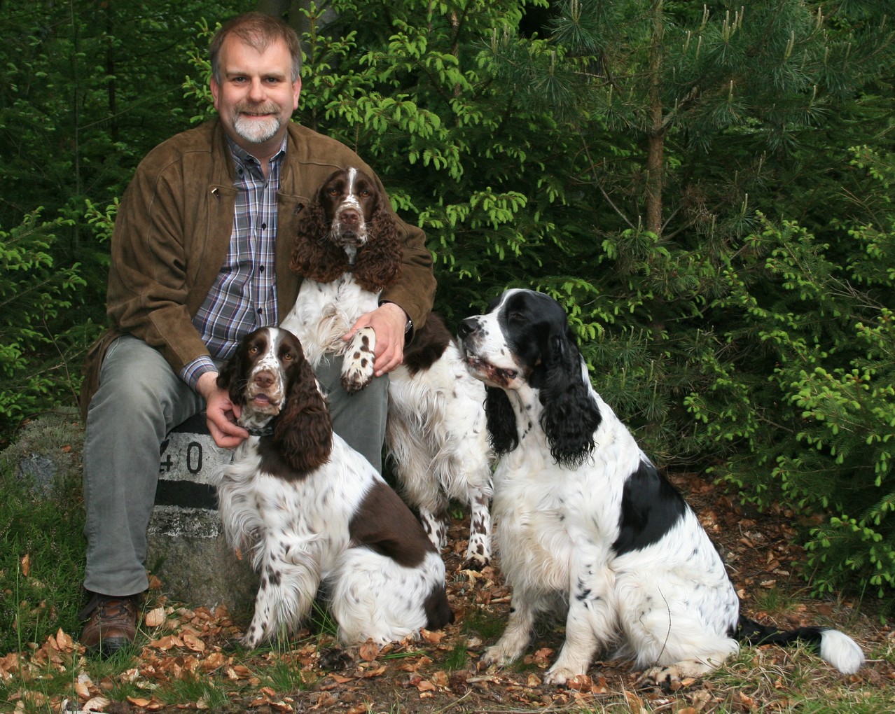English Kennel Vom Belauer See Fci Www Field Spaniels De Www Springer Spaniels De