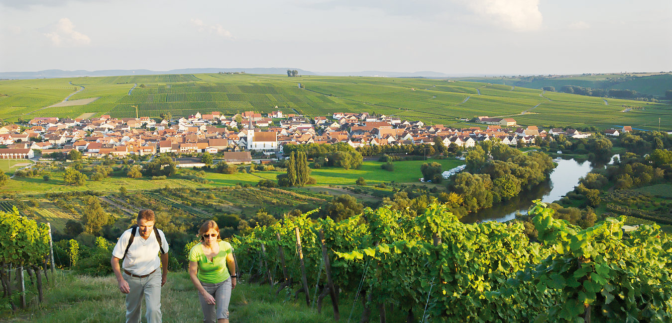 Burggrumbach - Weinverkauf Apfelbacher