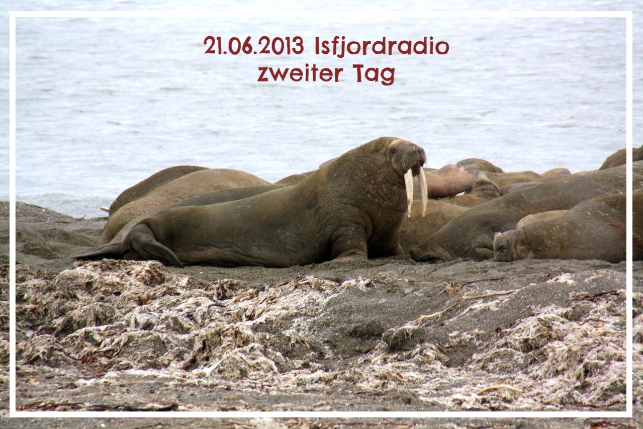 Isfjordradio zweiter Tag