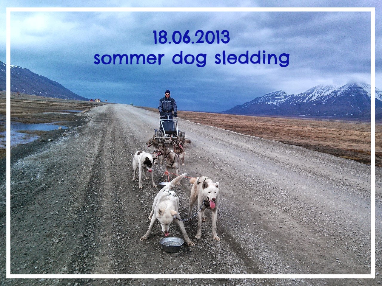 Sommer Dog Sledding