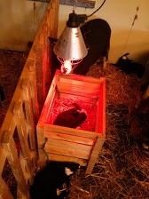 Drilling in der "Intensivbox"