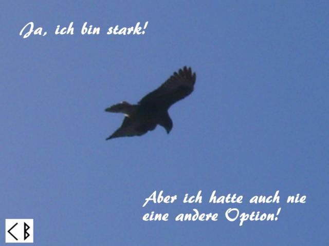 Get Kampf verloren Free Kampf Verloren