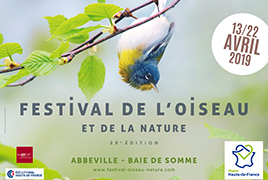 Festival de l'oiseau en baie de somme