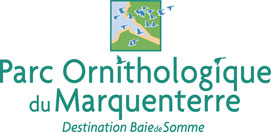 parc-ornithologique-du-marquenterre-Saint-Quentin-en-Tourmont-visite-incontournable-baie-de-somme