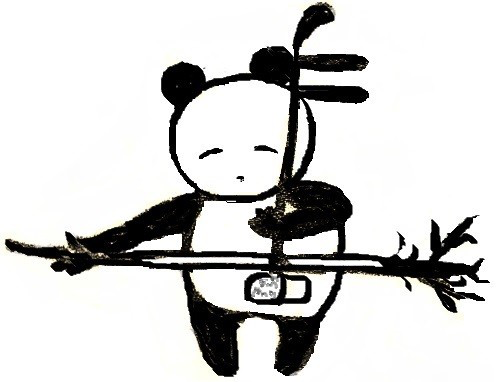 日本人二胡奏者 真真 shinnshinn Official Web Site