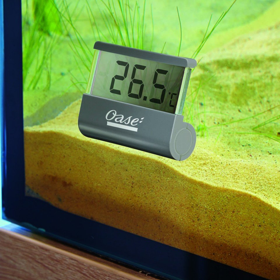 Thermometer