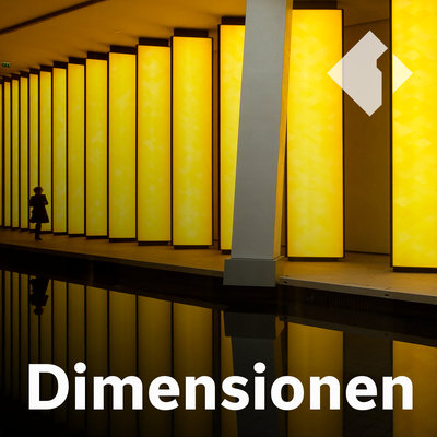 John Ioannidis: Das Gewissen der Wissenschaft