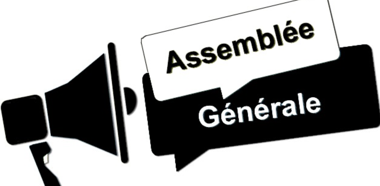 Assemblée générale / Annual general meeting