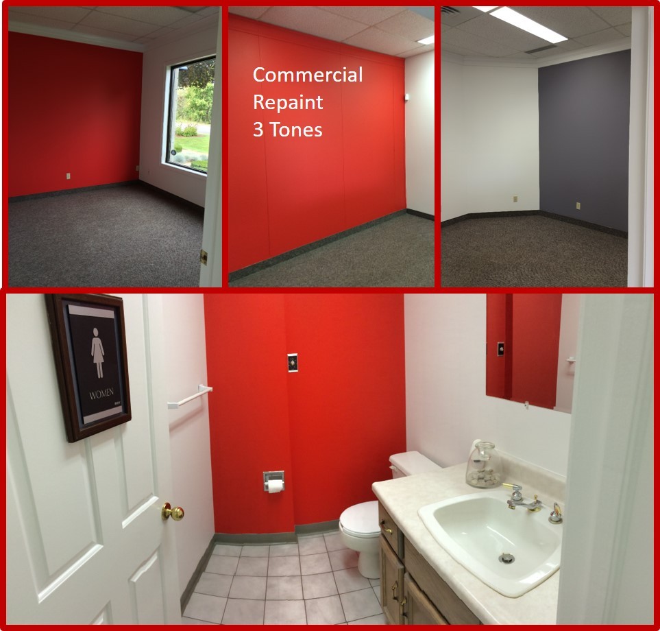 Commercial Office Repaint