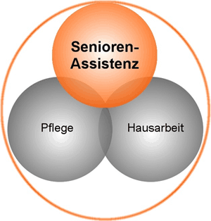 Aufgabenfelder der privaten Seniorenbetreuung