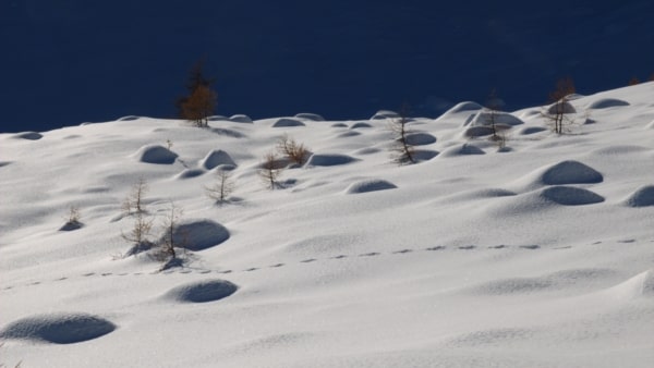 rando sortie balade aventure nature raquette à neige villard briançon puy saint pierre chantemerle la salle les alpes du sud 