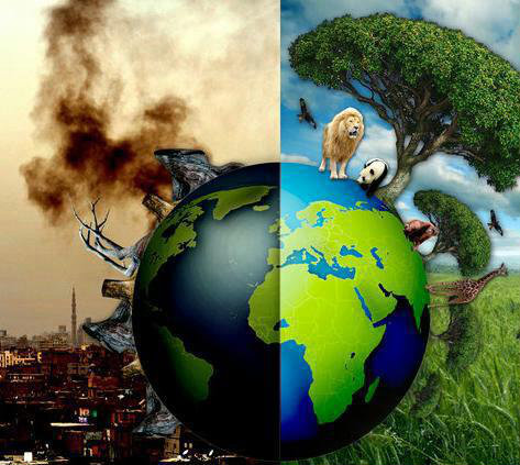 La Contaminacion Del Medio Ambiente Tu Medio Ambiente Cuidalo