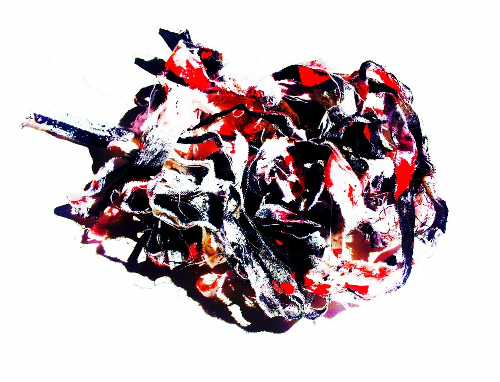 Seeing Red. 2012.Photography. 36"x48".Copyright (c) 2012 Sandra Perez-Ramos.