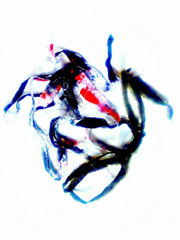 Mal di Testa. 2012. Photography. 30"x36". Sandra Perez-Ramos (C) Copyright 2012.