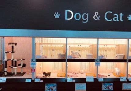 オレンジ・ペコ　所沢店